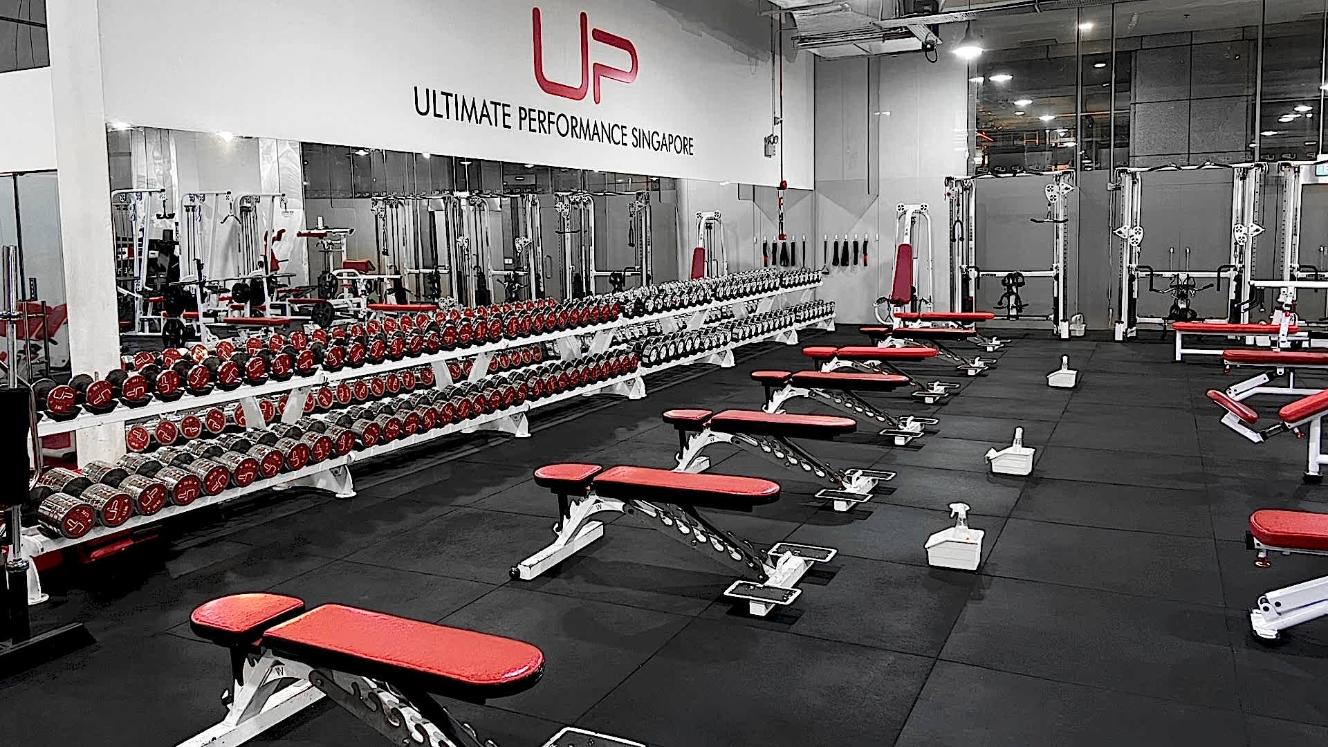  | Ultimate Performance