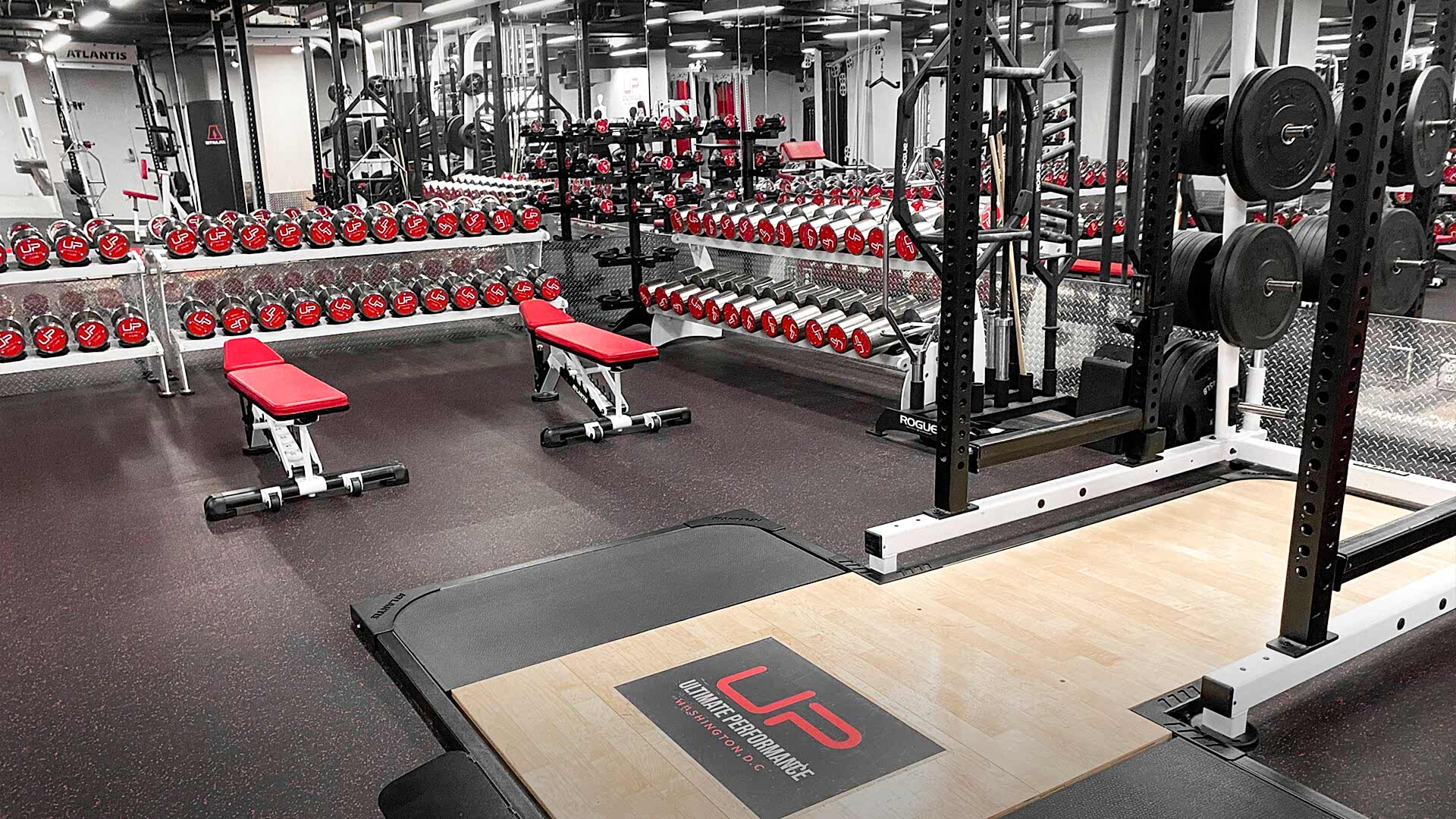  | Ultimate Performance